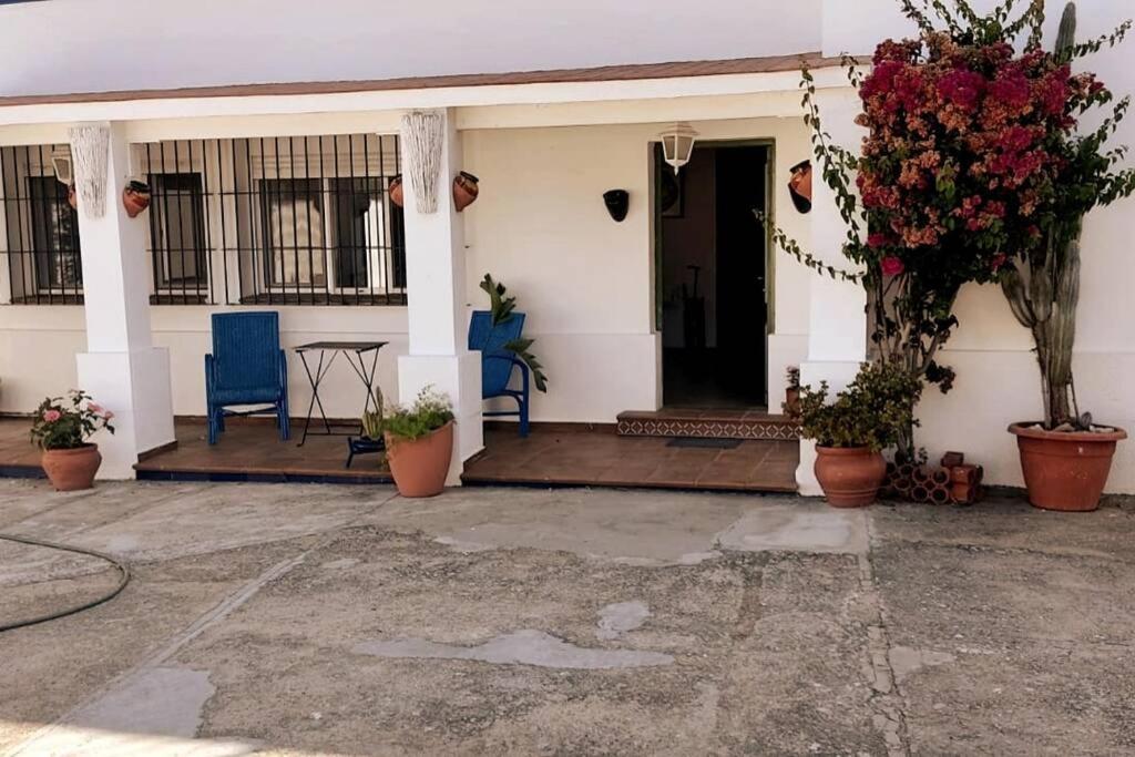 Sagrado Corazon - Chalet Con Piscina, A 25M Playa Sanlucar de Barrameda Exterior photo
